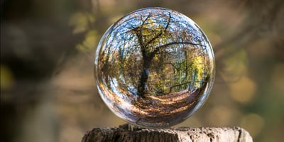 Tree in a glass ball